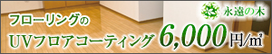 永遠の木